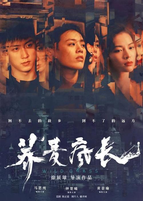汽车环保标志怎么做假